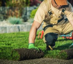 formation paysagiste et opérateur de jardin