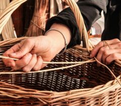 Formation vannerie d'osier : le panier rond