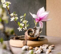 Formation Composition florale sur structure végétale stylisée - ikebana